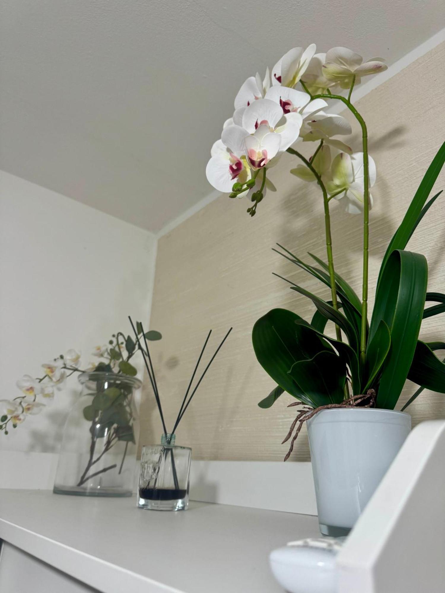 Casa Alessio - Elegante Appartamento Nel Cuore Di チェザーノ・モデルノ エクステリア 写真